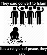 Convert to islam religion of peace stoning adultery Religion of peace they said