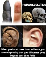 evolution human humans similarity primate monkeys evidence blindness blind faith