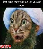 Ex-muslim page first time visit shock WTF cat sheikh sheik exmuslim exmuslims apologist moderate