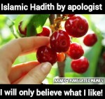 cherry picking hadith what suits apologist islamic believe I like selective quranist