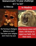 Meccan verses Madina Muhammad's message changing 10 year challenge Mecca no forcing in religion believe you have your religion I have mine own who leaves islam kill lion cat innocent