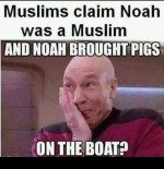 noah pig pigs boat logic scientific error noah pig pigs boat logic scientific error