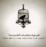 Birds born in a cage think flying is an illness logic philosophy brainwashing