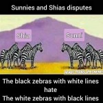 shia sunni disputes wars infighting zebras white lines black satire logic similar
