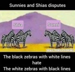 shia sunni disputes wars infighting zebras white lines black satire logic similar