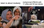 women rights islam modesty mohammad mohammed muhammad 11 wives 42 sex slaves