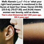 owning women as sex slaves in the Quran