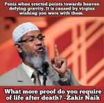 Is it all about sex with us? Meme Dr Zakri Naik