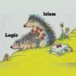How islam and logic work.