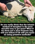 Animal cruelty religion of peace