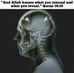 But doesn't all see everything?