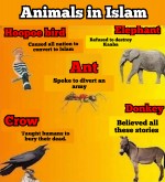 Logic of animals in Islam